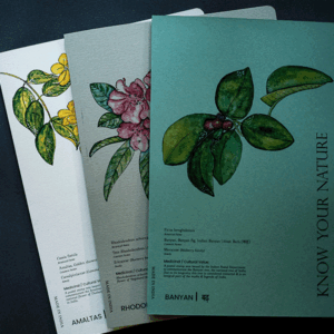 Know Your Nature Folders - Set of 3