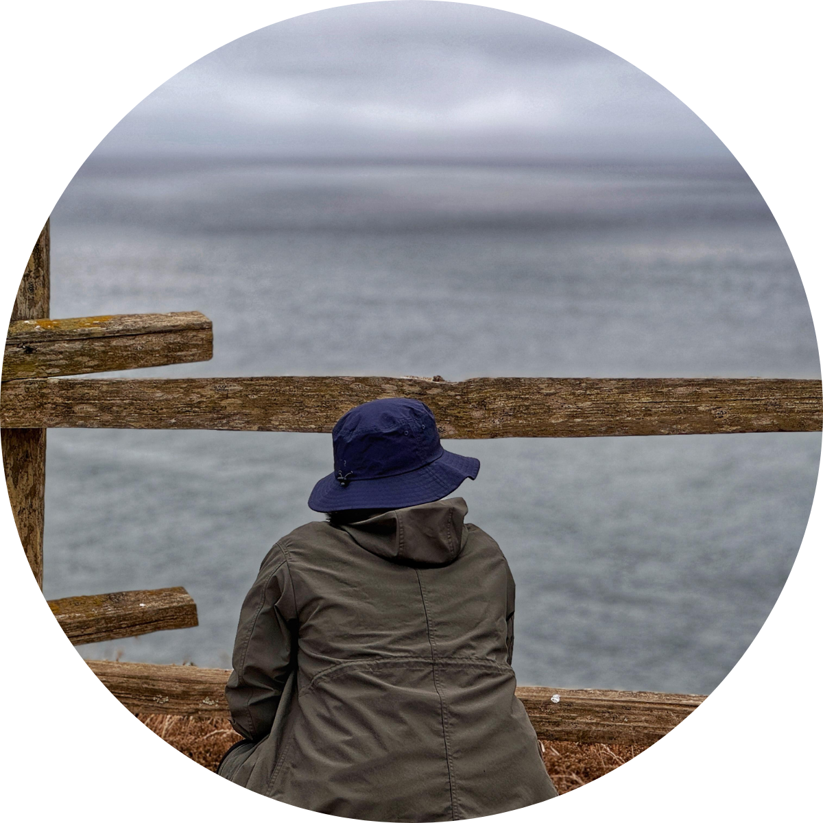 Untitled design (10)